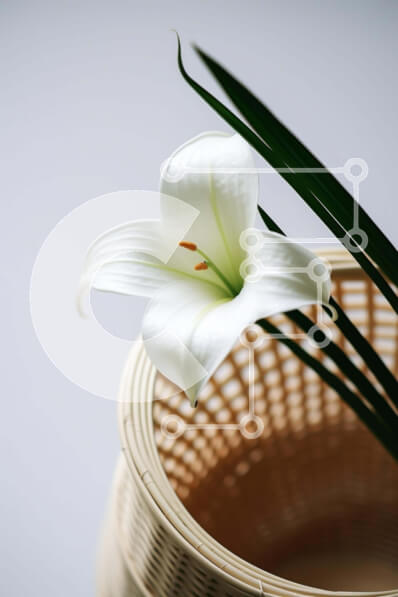 Σετ των 2 Intra Συλλεκτικό Ξύλινο Παζλ Plywood  4mm - Λευκό λουλούδι κρίνου σε ψάθινο καλάθι Σε Ξύλινο Κουτί - Διαστάσεις: 10x10 cm – 25 κομμάτια