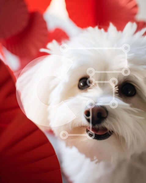 Σετ των 2 Intra Συλλεκτικό Ξύλινο Παζλ Plywood  4mm - Λευκό σκυλί με κόκκινα φανάρια Σε Ξύλινο Κουτί - Διαστάσεις: 10x10 cm – 25 κομμάτια