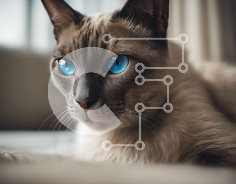 Σετ των 2 Intra Συλλεκτικό Ξύλινο Παζλ Plywood  4mm - Κοντινό πλάνο σιαμέζας γάτας με μπλε μάτια Σε Ξύλινο Κουτί - Διαστάσεις: 10x10 cm – 25 κομμάτια