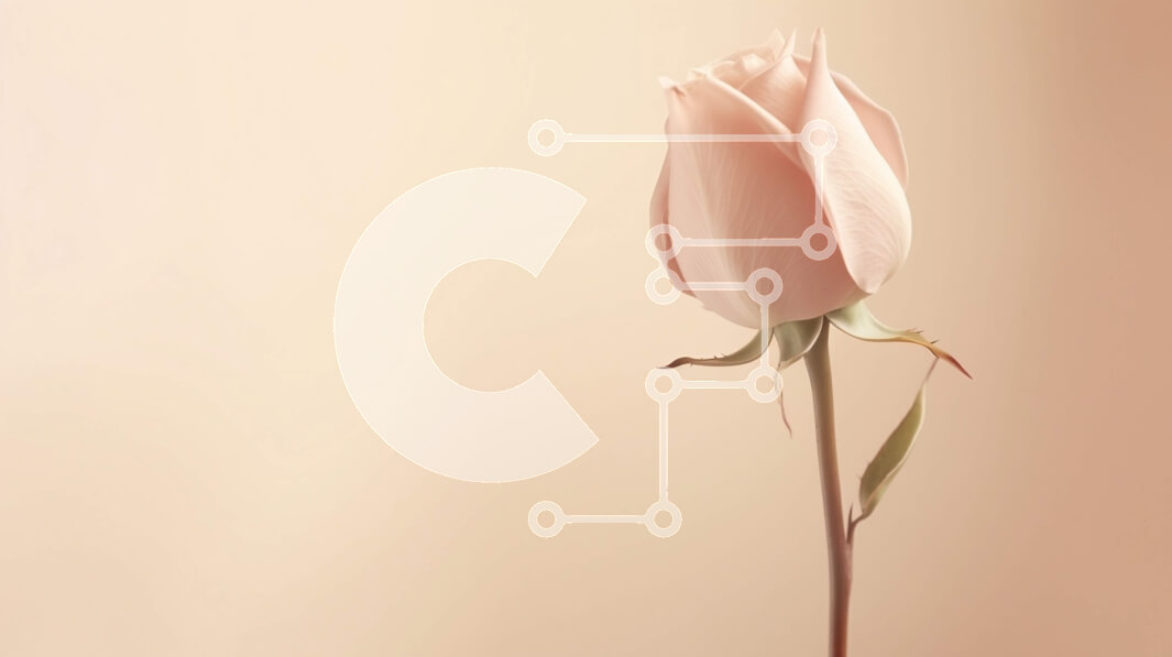 Intra Συλλεκτικό Ξύλινο Παζλ Plywood  4mm - Μονό ροζ τριαντάφυλλο Σε Ξύλινο Κουτί - Διαστάσεις: 10x10 cm – 25 κομμάτια