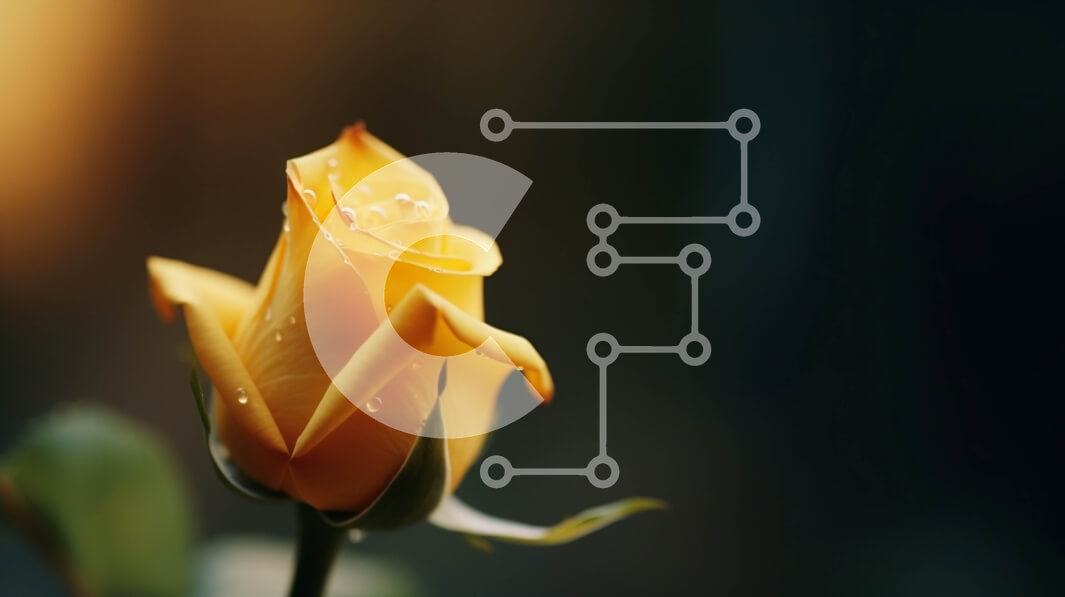 Intra Συλλεκτικό Ξύλινο Παζλ Plywood  4mm - Μονό κίτρινο τριαντάφυλλο με σταγονίδια νερού Σε Ξύλινο Κουτί - Διαστάσεις: 10x10 cm – 25 κομμάτια