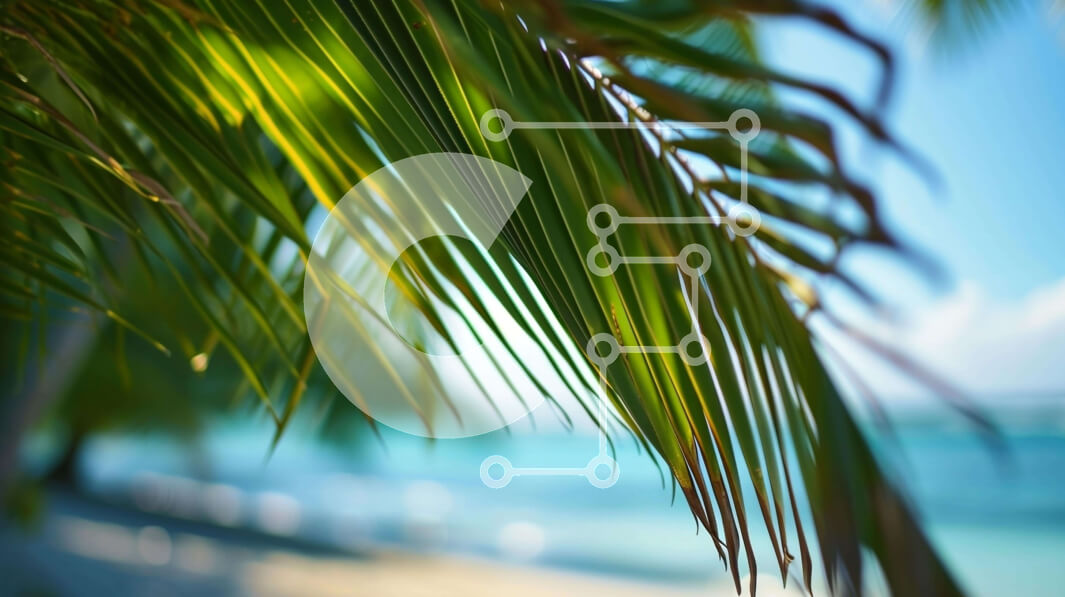 Intra Συλλεκτικό Ξύλινο Παζλ Plywood  4mm - Φοίνικας σε μια παραλία Σε Ξύλινο Κουτί - Διαστάσεις: 10x10 cm – 25 κομμάτια