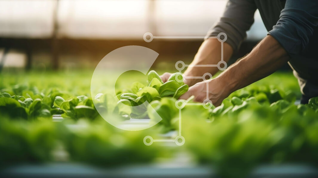 Σετ των 2 Intra Συλλεκτικό Ξύλινο Παζλ Plywood  4mm - Άνδρας που μαζεύει φύλλα μαρουλιού σε εσωτερική υδροπονική φάρμα Σε Ξύλινο Κουτί - Διαστάσεις: 10x10 cm – 25 κομμάτια