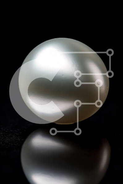 Intra Συλλεκτικό Ξύλινο Παζλ Plywood  4mm - Όμορφη εικόνα ενός λευκού μαργαριταριού σε μια μαύρη επιφάνεια Σε Ξύλινο Κουτί - Διαστάσεις: 10x10 cm – 25 κομμάτια