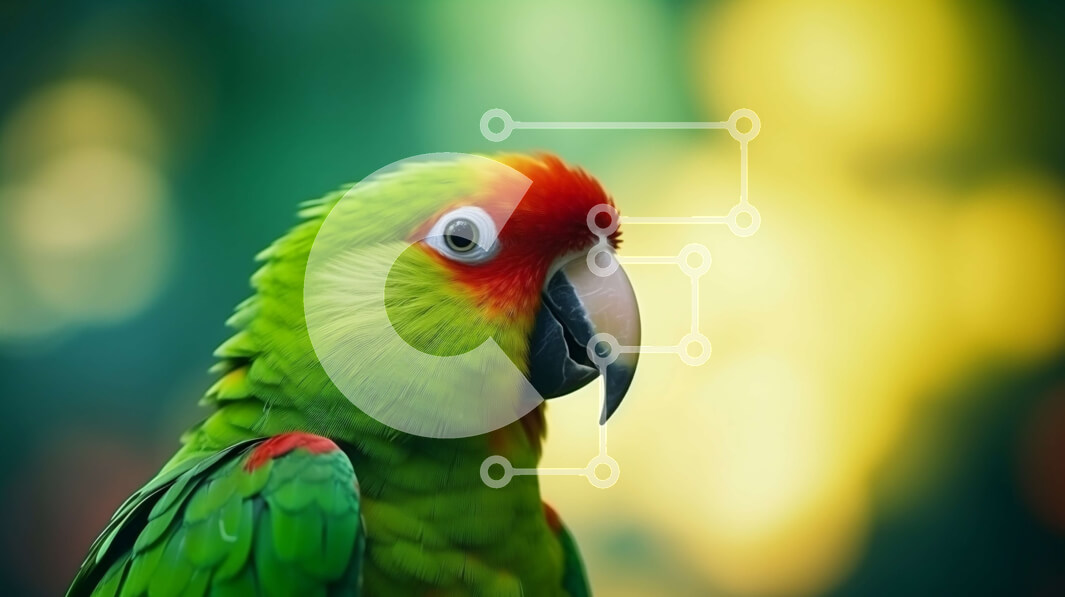 Σετ των 2 Intra Συλλεκτικό Ξύλινο Παζλ Plywood  4mm - Πολύχρωμος παπαγάλος Σε Ξύλινο Κουτί - Διαστάσεις: 10x10 cm – 25 κομμάτια