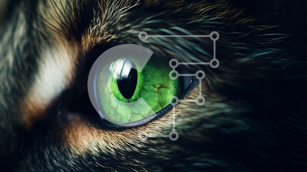 Σετ των 2 Intra Συλλεκτικό Ξύλινο Παζλ Plywood  4mm - Εκπληκτική φωτογραφία από κοντινό πλάνο ενός πράσινου ματιού γάτας Σε Ξύλινο Κουτί - Διαστάσεις: 10x10 cm – 25 κομμάτια