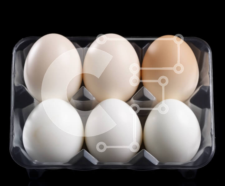 Σετ των 2 Intra Συλλεκτικό Ξύλινο Παζλ Plywood  4mm - Λευκά και καφέ αυγά σε διάφανο δίσκο Σε Ξύλινο Κουτί - Διαστάσεις: 10x10 cm – 25 κομμάτια