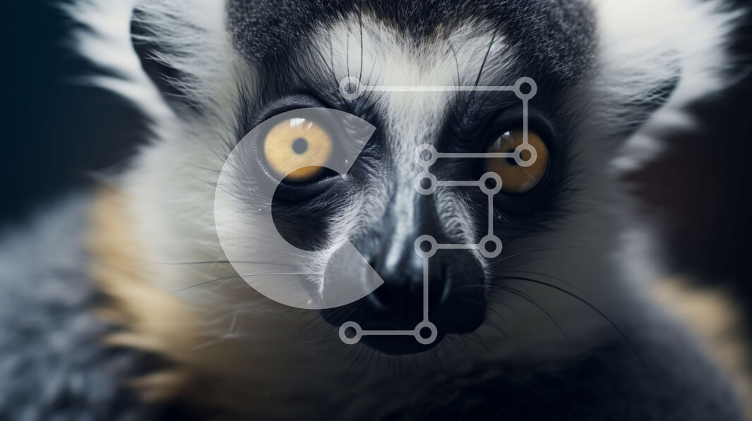 Σετ των 2 Intra Συλλεκτικό Ξύλινο Παζλ Plywood  4mm - Κοντινή όψη του προσώπου του Λεμούριου Σε Ξύλινο Κουτί - Διαστάσεις: 10x10 cm – 25 κομμάτια