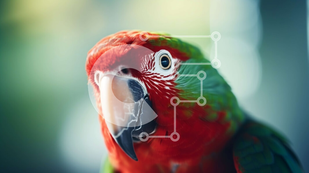 Intra Συλλεκτικό Ξύλινο Παζλ Plywood  4mm - Κόκκινος και Πράσινος Παπαγάλος Σε Ξύλινο Κουτί - Διαστάσεις: 10x10 cm – 25 κομμάτια