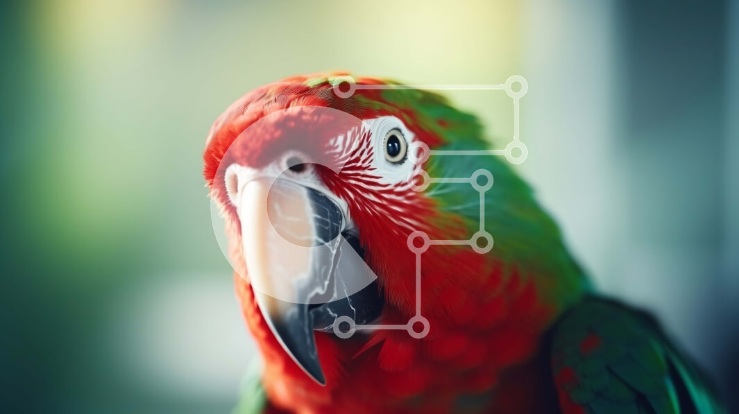 Σετ των 2 Intra Συλλεκτικό Ξύλινο Παζλ Plywood  4mm - Ο κόκκινος και πράσινος παπαγάλος στέκεται μπροστά από το θολό φόντο Σε Ξύλινο Κουτί - Διαστάσεις: 10x10 cm – 25 κομμάτια