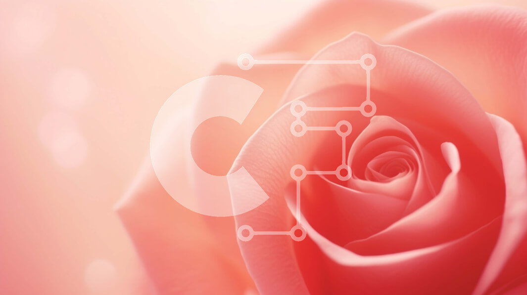 Intra Συλλεκτικό Ξύλινο Παζλ Plywood  4mm - Ροζ τριαντάφυλλο με φόντο Bokeh Σε Ξύλινο Κουτί - Διαστάσεις: 10x10 cm – 25 κομμάτια