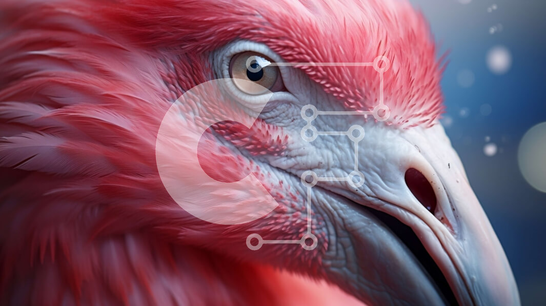 Intra Συλλεκτικό Ξύλινο Παζλ Plywood  4mm - Κοντινή όψη του κεφαλιού ενός φλαμίνγκο Σε Ξύλινο Κουτί - Διαστάσεις: 10x10 cm – 25 κομμάτια