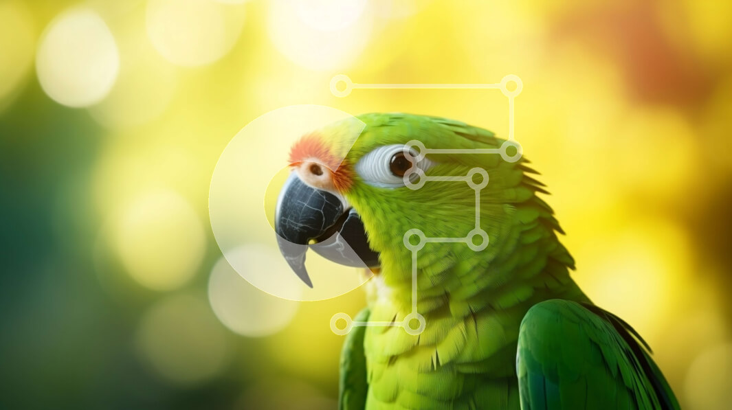 Intra Συλλεκτικό Ξύλινο Παζλ Plywood  4mm - Πράσινος παπαγάλος που κοιτάζει πίσω με ανοιχτό ράμφος Σε Ξύλινο Κουτί - Διαστάσεις: 10x10 cm – 25 κομμάτια