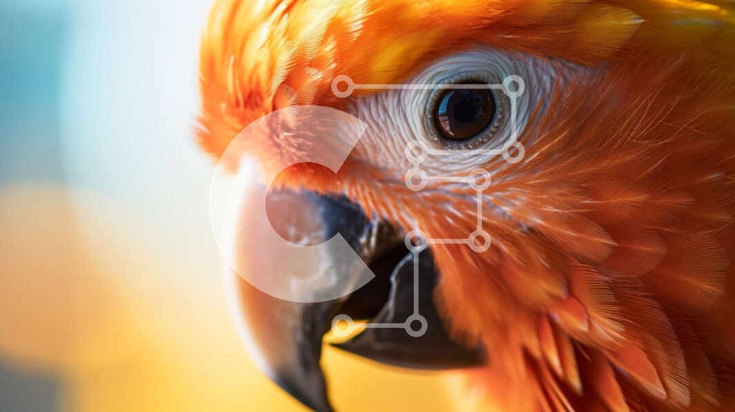 Σετ των 2 Intra Συλλεκτικό Ξύλινο Παζλ Plywood  4mm - Κοντινό πλάνο πορτοκαλί παπαγάλου που κοιτάζει επίμονα στην κάμερα Σε Ξύλινο Κουτί - Διαστάσεις: 10x10 cm – 25 κομμάτια