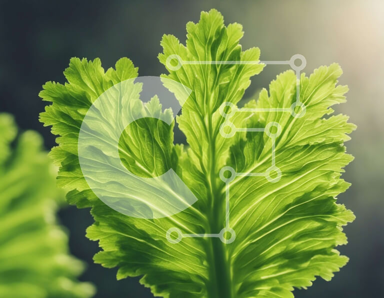 Intra Συλλεκτικό Ξύλινο Παζλ Plywood  4mm - Κοντινό πλάνο δύο πράσινων φύλλων Σε Ξύλινο Κουτί - Διαστάσεις: 10x10 cm – 25 κομμάτια