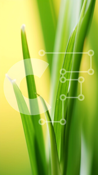 Σετ των 2 Intra Συλλεκτικό Ξύλινο Παζλ Plywood  4mm - Κοντινό πλάνο της αυξανόμενης πράσινης χλόης Σε Ξύλινο Κουτί - Διαστάσεις: 10x10 cm – 25 κομμάτια