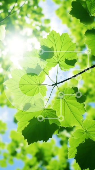 Σετ των 2 Intra Συλλεκτικό Ξύλινο Παζλ Plywood  4mm - Πράσινο κλαδί δέντρου με το φως του ήλιου Σε Ξύλινο Κουτί - Διαστάσεις: 10x10 cm – 25 κομμάτια