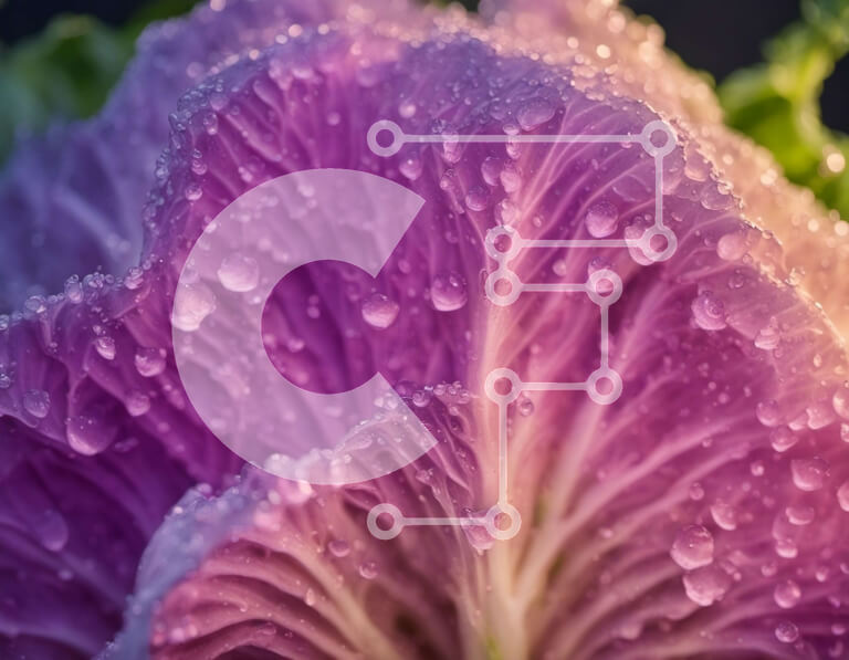 Intra Συλλεκτικό Ξύλινο Παζλ Plywood  4mm - Κοντινό πλάνο ενός πορφυρού λάχανου με σταγονίδια νερού Σε Ξύλινο Κουτί - Διαστάσεις: 10x10 cm – 25 κομμάτια