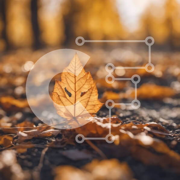 Intra Συλλεκτικό Ξύλινο Παζλ Plywood  4mm - Μονό κίτρινο φύλλο στο δάσος Σε Ξύλινο Κουτί - Διαστάσεις: 10x10 cm – 25 κομμάτια