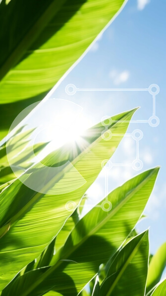 Σετ των 2 Intra Συλλεκτικό Ξύλινο Παζλ Plywood  4mm - Κοντινό πλάνο των πράσινων φύλλων ενάντια στο μπλε ουρανό Σε Ξύλινο Κουτί - Διαστάσεις: 10x10 cm – 25 κομμάτια