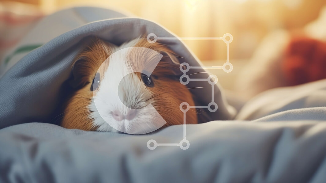 Σετ των 2 Intra Συλλεκτικό Ξύλινο Παζλ Plywood  4mm - Αξιολάτρευτη εικόνα ενός ινδικού χοιριδίου που χώνεται κάτω από μια άνετη κουβέρτα Σε Ξύλινο Κουτί - Διαστάσεις: 10x10 cm – 25 κομμάτια