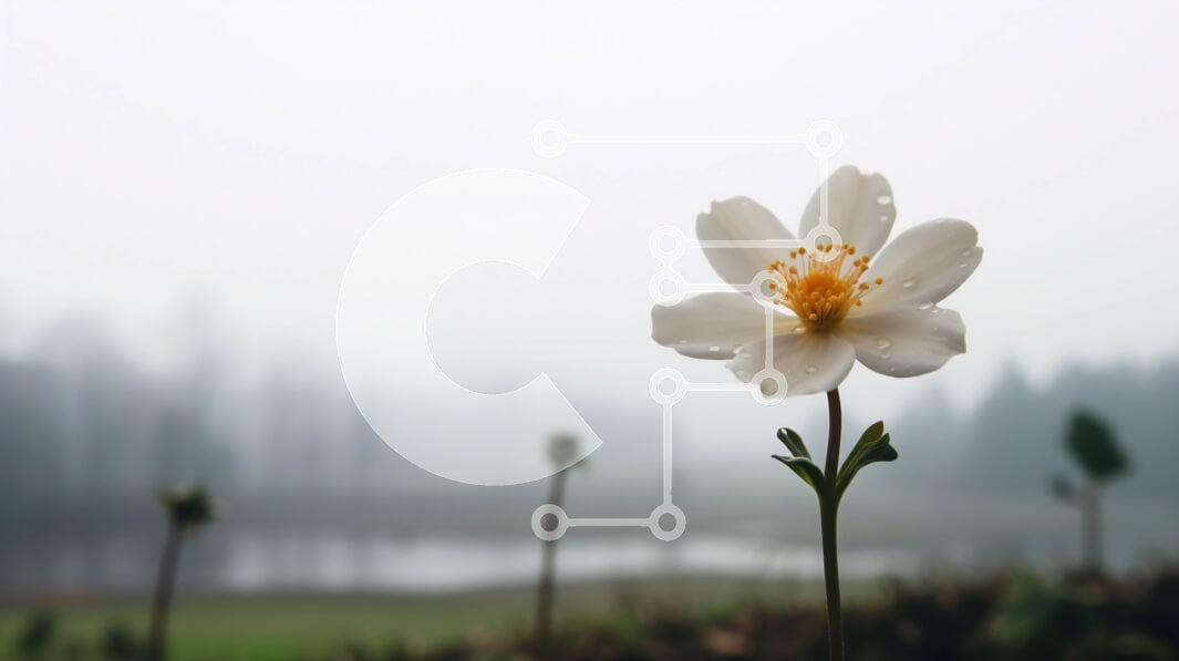 Intra Συλλεκτικό Ξύλινο Παζλ Plywood  4mm - Μονό λευκό λουλούδι σε πλήρη άνθιση σε ομιχλώδες φόντο Σε Ξύλινο Κουτί - Διαστάσεις: 10x10 cm – 25 κομμάτια