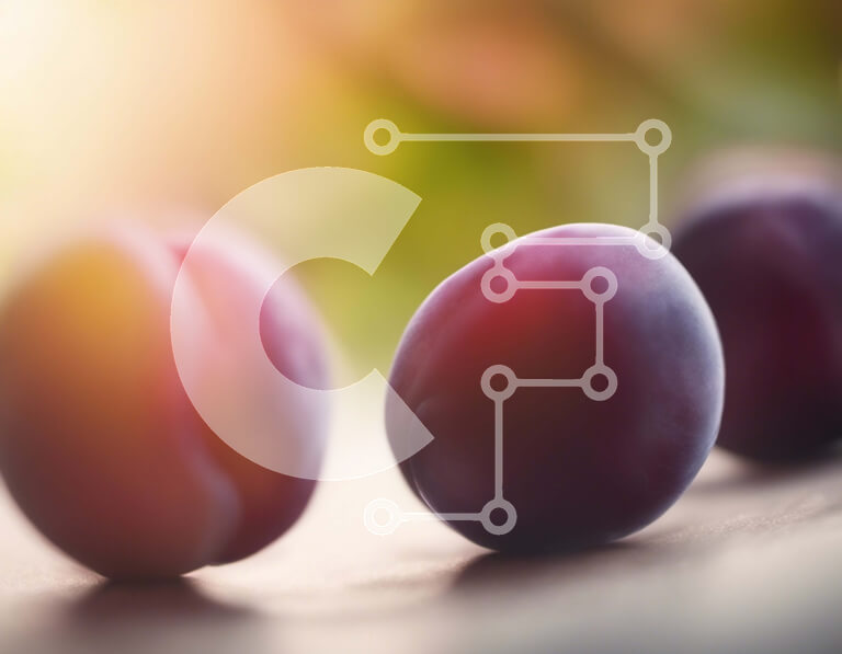 Σετ των 2 Intra Συλλεκτικό Ξύλινο Παζλ Plywood  4mm - Τρία μωβ δαμάσκηνα τοποθετημένα σε ξύλινη επιφάνεια Σε Ξύλινο Κουτί - Διαστάσεις: 10x10 cm – 25 κομμάτια