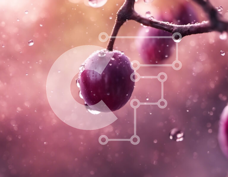 Σετ των 2 Intra Συλλεκτικό Ξύλινο Παζλ Plywood  4mm - Φρέσκα κόκκινα σταφύλια με σταγονίδια νερού στο κλαδί Σε Ξύλινο Κουτί - Διαστάσεις: 10x10 cm – 25 κομμάτια