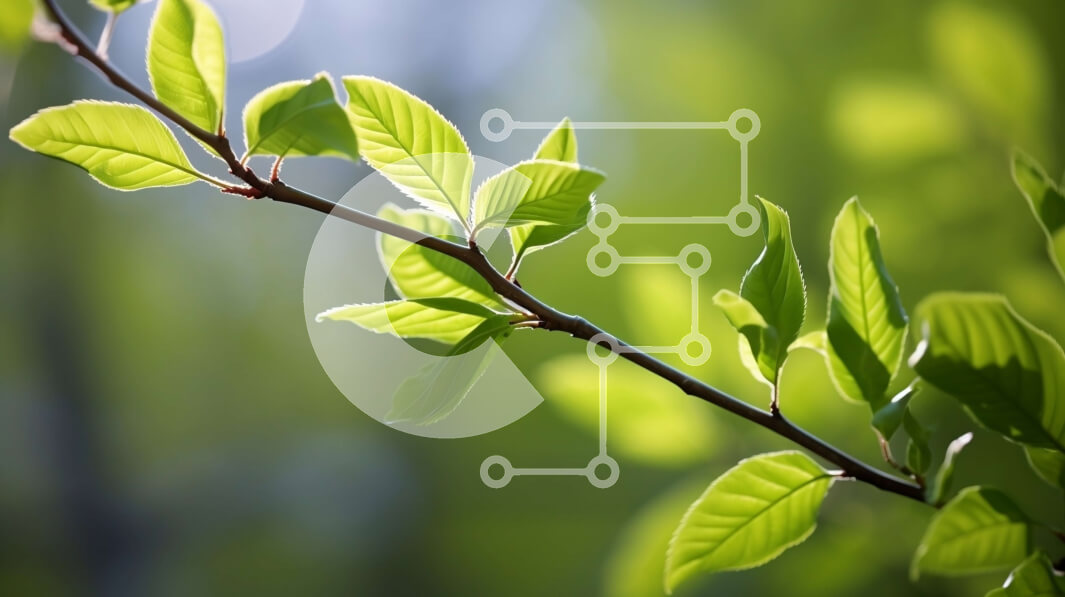 Intra Συλλεκτικό Ξύλινο Παζλ Plywood  4mm - Κοντινή όψη των ζωντανών πράσινων φύλλων σε ένα κλαδί δέντρου Σε Ξύλινο Κουτί - Διαστάσεις: 10x10 cm – 25 κομμάτια