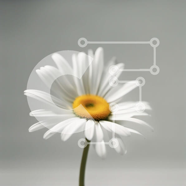 Intra Συλλεκτικό Ξύλινο Παζλ Plywood  4mm - Όμορφη εικόνα μιας λευκής μαργαρίτας με κίτρινο κέντρο και πράσινα φύλλα Σε Ξύλινο Κουτί - Διαστάσεις: 10x10 cm – 25 κομμάτια