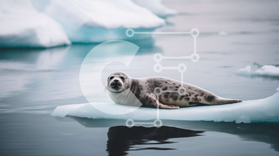 Intra Συλλεκτικό Ξύλινο Παζλ Plywood  4mm - Εκπληκτική φωτογραφία μιας φώκιας που στηρίζεται σε έναν πάγο στον Αρκτικό Ωκεανό Σε Ξύλινο Κουτί - Διαστάσεις: 10x10 cm – 25 κομμάτια