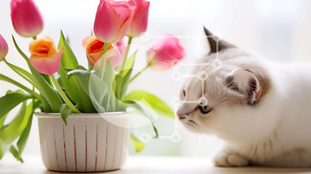 Σετ των 2 Intra Συλλεκτικό Ξύλινο Παζλ Plywood  4mm - Περίεργη λευκή γάτα και ανθισμένα λουλούδια Σε Ξύλινο Κουτί - Διαστάσεις: 10x10 cm – 25 κομμάτια