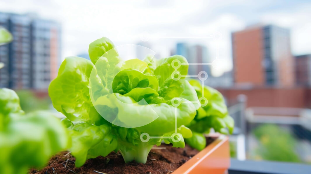 Intra Συλλεκτικό Ξύλινο Παζλ Plywood  4mm - Φυτά μαρουλιού που αναπτύσσονται σε πορτοκαλί δοχείο με φόντο στον ορίζοντα της πόλης Σε Ξύλινο Κουτί - Διαστάσεις: 10x10 cm – 25 κομμάτια