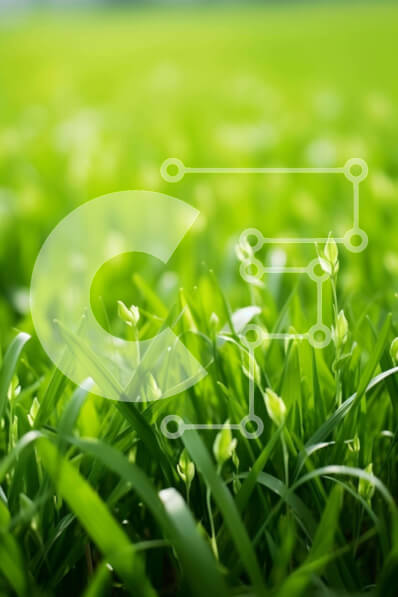 Σετ των 2 Intra Συλλεκτικό Ξύλινο Παζλ Plywood  4mm - Πράσινο γρασίδι με τα μικρά λουλούδια Σε Ξύλινο Κουτί - Διαστάσεις: 10x10 cm – 25 κομμάτια