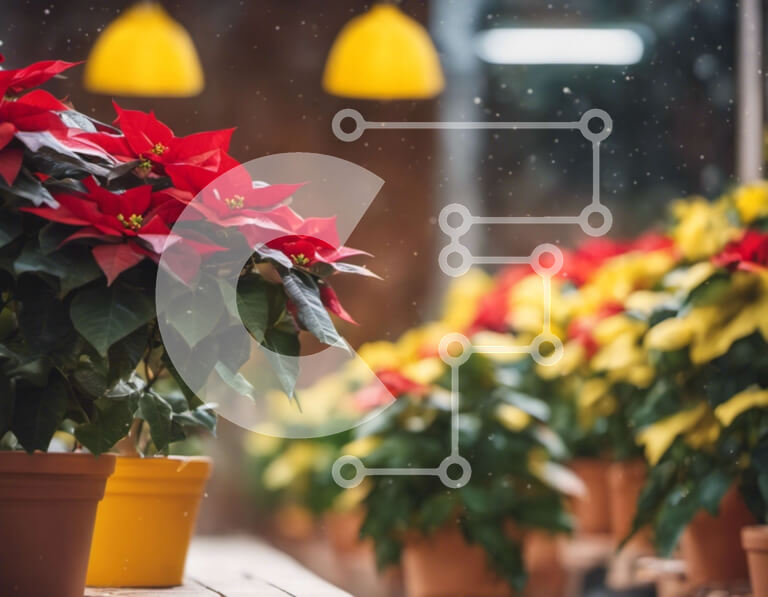 Intra Συλλεκτικό Ξύλινο Παζλ Plywood  4mm - Φυτά σε γλάστρες σε διάφορα μεγέθη και σχήματα Σε Ξύλινο Κουτί - Διαστάσεις: 10x10 cm – 25 κομμάτια