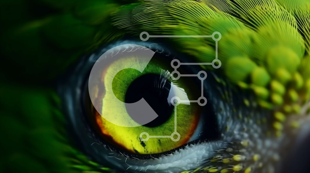 Σετ των 2 Intra Συλλεκτικό Ξύλινο Παζλ Plywood  4mm - Κοντινό πλάνο του ματιού ενός πράσινου παπαγάλου με φωτεινά κίτρινα μάτια Σε Ξύλινο Κουτί - Διαστάσεις: 10x10 cm – 25 κομμάτια