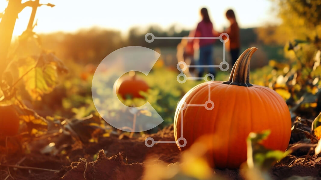 Intra Συλλεκτικό Ξύλινο Παζλ Plywood  4mm - Δύο κολοκύθες σε ένα χωράφι με ανθρώπους να απολαμβάνουν το χρόνο τους Σε Ξύλινο Κουτί - Διαστάσεις: 10x10 cm – 25 κομμάτια