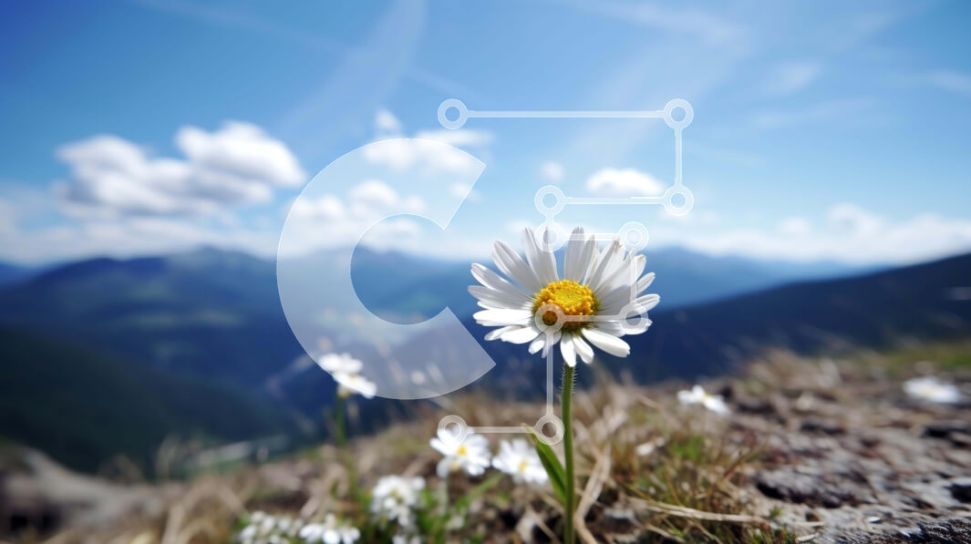 Intra Συλλεκτικό Ξύλινο Παζλ Plywood  4mm - Λευκή Μαργαρίτα σε ένα καταπράσινο χωράφι με βουνά Σε Ξύλινο Κουτί - Διαστάσεις: 10x10 cm – 25 κομμάτια