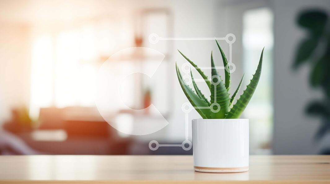 Intra Συλλεκτικό Ξύλινο Παζλ Plywood  4mm - Λευκή γλάστρα φυτό Aloe Vera στο σαλόνι Σε Ξύλινο Κουτί - Διαστάσεις: 10x10 cm – 25 κομμάτια