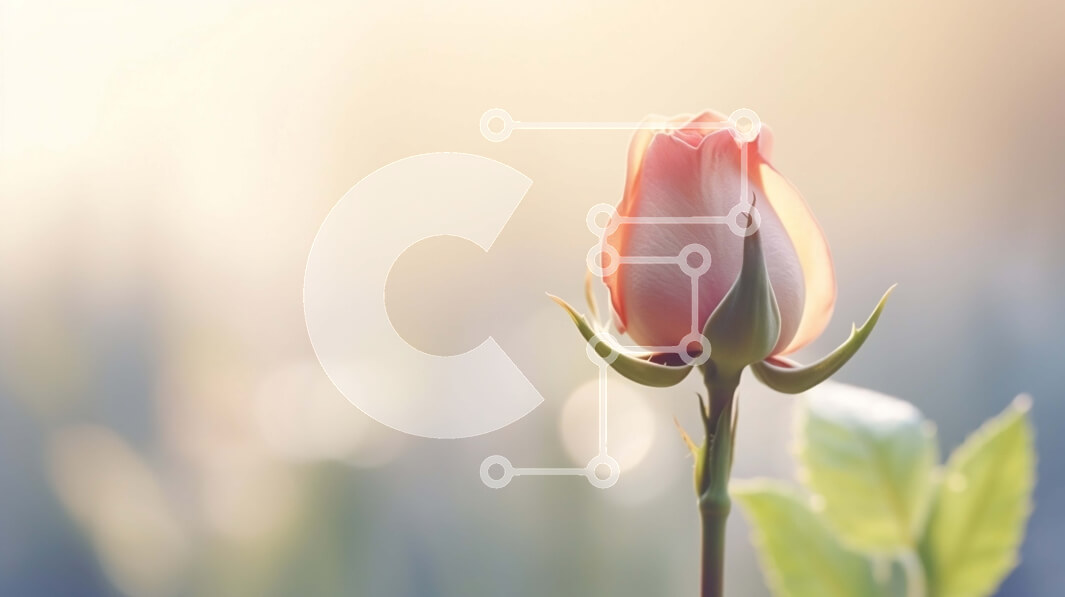 Intra Συλλεκτικό Ξύλινο Παζλ Plywood  4mm - Πανέμορφο ροζ τριαντάφυλλο με πράσινα φύλλα Σε Ξύλινο Κουτί - Διαστάσεις: 10x10 cm – 25 κομμάτια