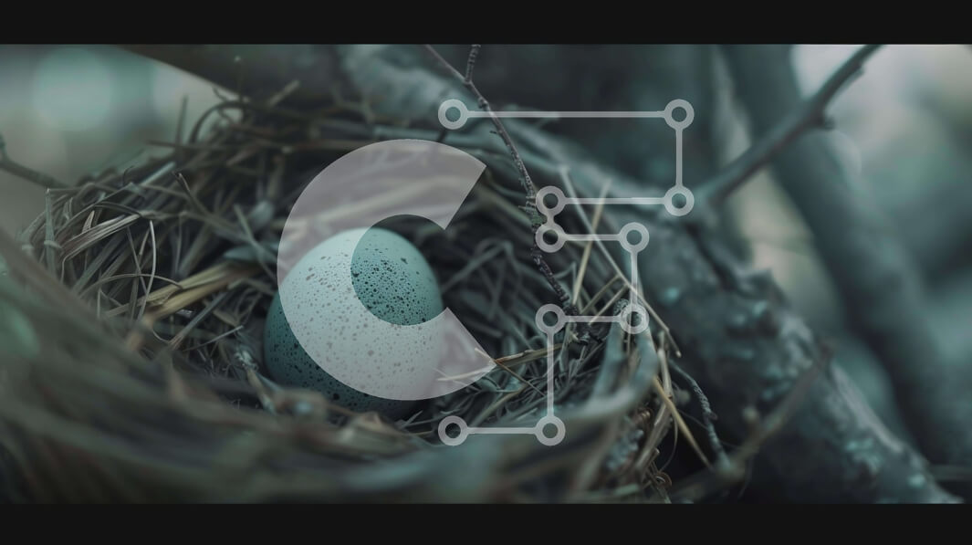 Intra Συλλεκτικό Ξύλινο Παζλ Plywood  4mm - Φωλιά πουλιών με αυγό σε φυσικό βιότοπο Σε Ξύλινο Κουτί - Διαστάσεις: 10x10 cm – 25 κομμάτια