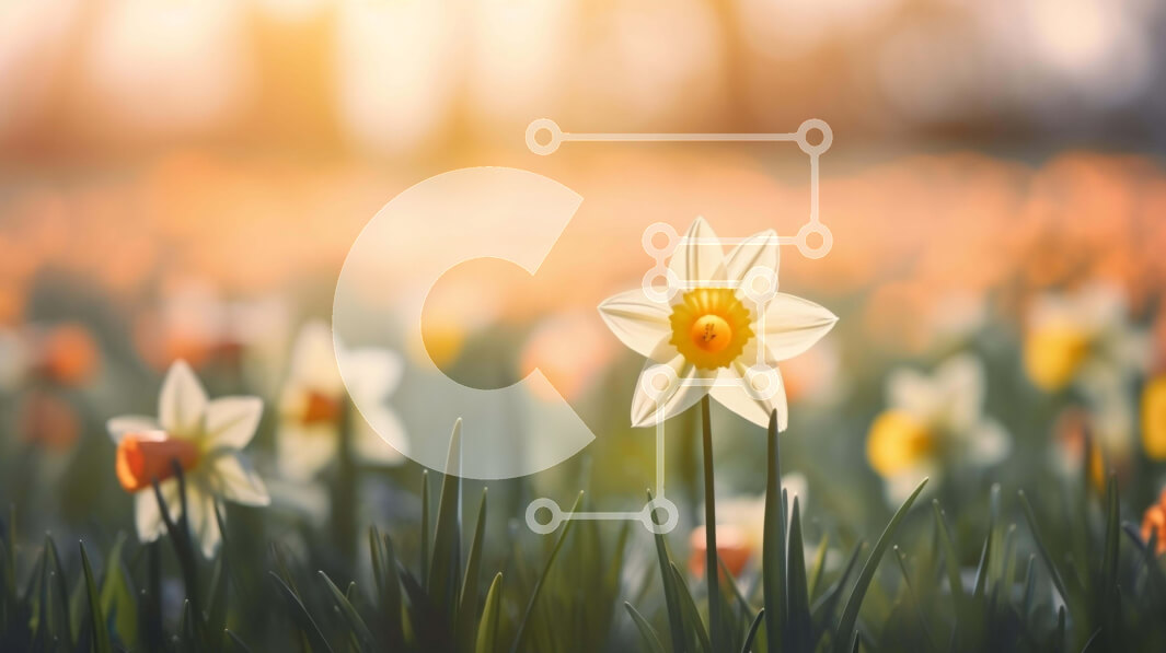 Intra Συλλεκτικό Ξύλινο Παζλ Plywood  4mm - Πεδίο με ασφόδελους και ανοιξιάτικα λουλούδια Σε Ξύλινο Κουτί - Διαστάσεις: 10x10 cm – 25 κομμάτια