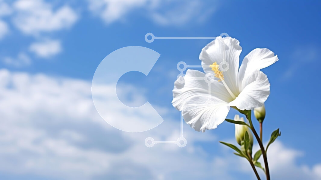 Intra Συλλεκτικό Ξύλινο Παζλ Plywood  4mm - Μονό λευκό λουλούδι ενάντια στο μπλε ουρανό και τα σύννεφα Σε Ξύλινο Κουτί - Διαστάσεις: 10x10 cm – 25 κομμάτια