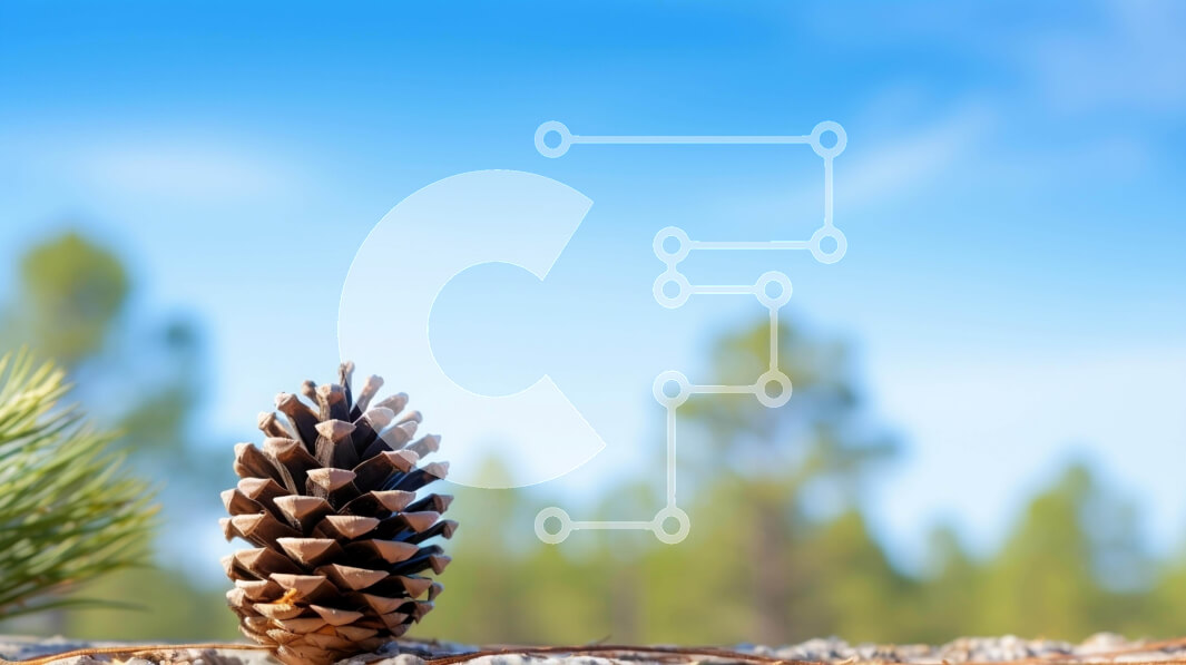 Intra Συλλεκτικό Ξύλινο Παζλ Plywood  4mm - Πεύκο σε βράχους με πεύκα και συννεφιασμένο ουρανό Σε Ξύλινο Κουτί - Διαστάσεις: 10x10 cm – 25 κομμάτια