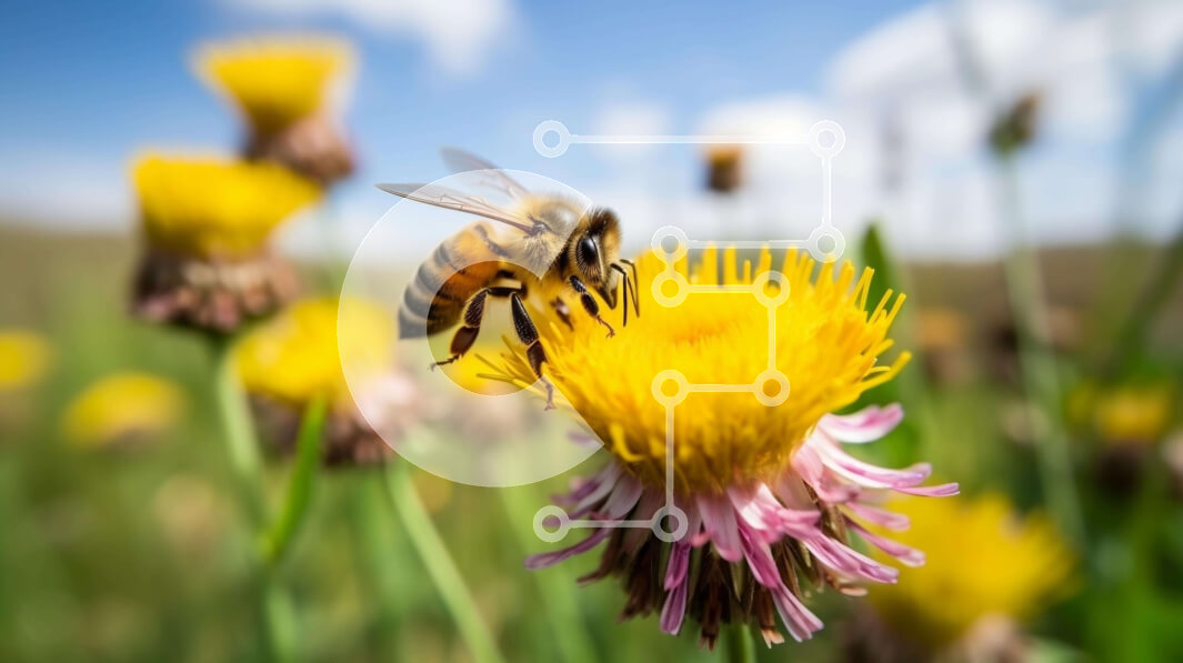 Intra Συλλεκτικό Ξύλινο Παζλ Plywood  4mm - Μέλισσα σε κίτρινα λουλούδια σε ένα ανοιχτό πεδίο Σε Ξύλινο Κουτί - Διαστάσεις: 10x10 cm – 25 κομμάτια