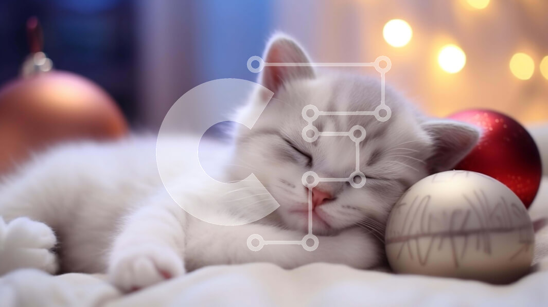 Σετ των 2 Intra Συλλεκτικό Ξύλινο Παζλ Plywood  4mm - Χαριτωμένο γατάκι που κοιμάται πάνω από ένα γιορτινό στολίδι Σε Ξύλινο Κουτί - Διαστάσεις: 10x10 cm – 25 κομμάτια