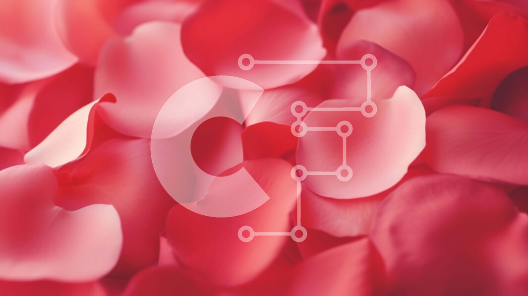 Intra Συλλεκτικό Ξύλινο Παζλ Plywood  4mm - Κοντινό πλάνο με ροζ πέταλα: αφηρημένο φόντο της φύσης Σε Ξύλινο Κουτί - Διαστάσεις: 10x10 cm – 25 κομμάτια