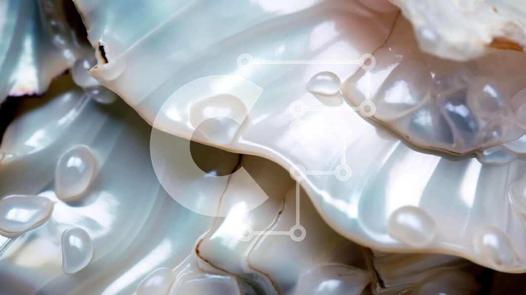 Intra Συλλεκτικό Ξύλινο Παζλ Plywood  4mm - Εκπληκτική κινηματογράφηση σε πρώτο πλάνο από μαργαριταρένιο κέλυφος στρειδιών με λαμπερά μαργαριτάρια μέσα Σε Ξύλινο Κουτί - Διαστάσεις: 10x10 cm – 25 κομμάτια