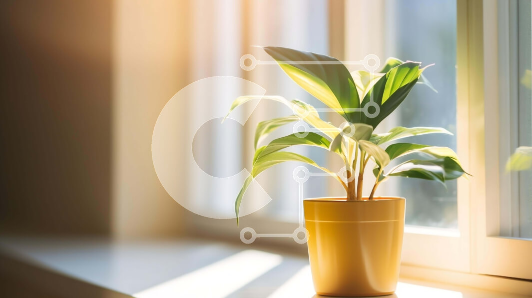 Intra Συλλεκτικό Ξύλινο Παζλ Plywood  4mm - Υγιές κίτρινο φυτό σε γλάστρα στο περβάζι παραθύρου Σε Ξύλινο Κουτί - Διαστάσεις: 10x10 cm – 25 κομμάτια