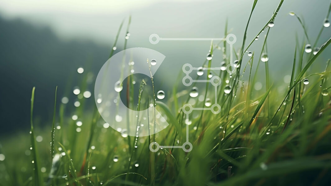 Intra Συλλεκτικό Ξύλινο Παζλ Plywood  4mm - Χλοώδες χωράφι με σταγονίδια νερού Σε Ξύλινο Κουτί - Διαστάσεις: 10x10 cm – 25 κομμάτια